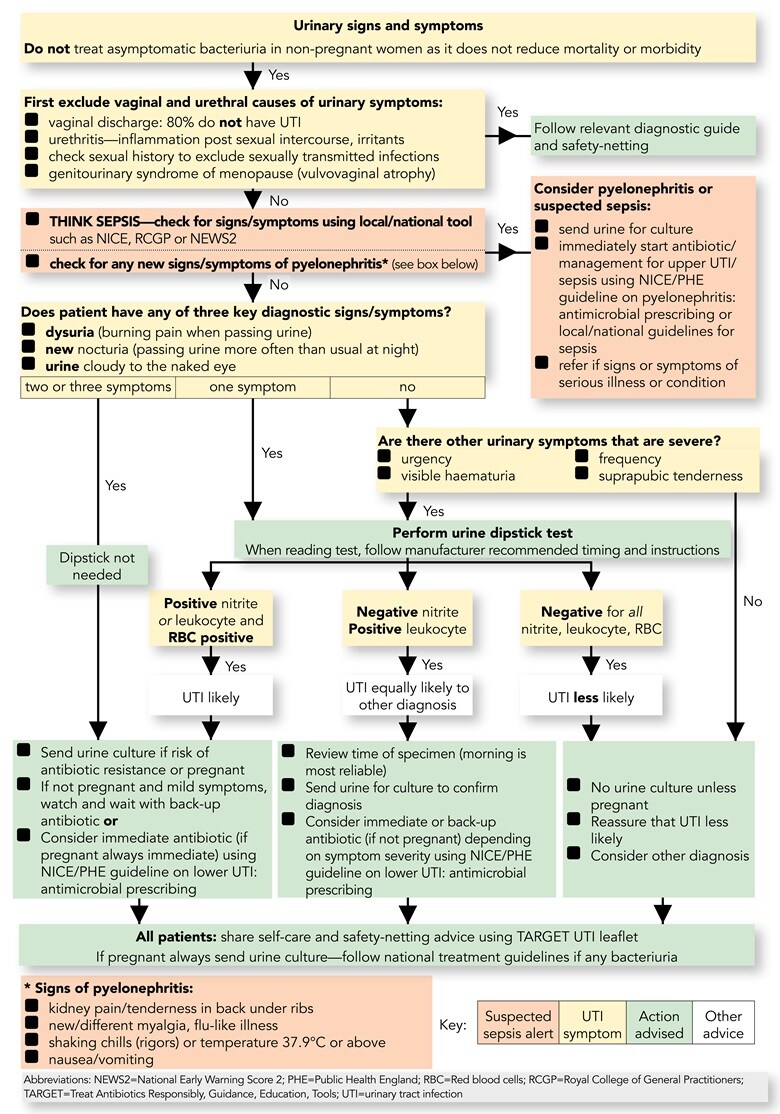 Urinary Tract Infection Diagnosis